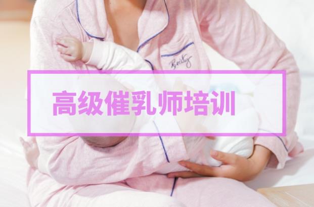 高级催乳师精品课程合集